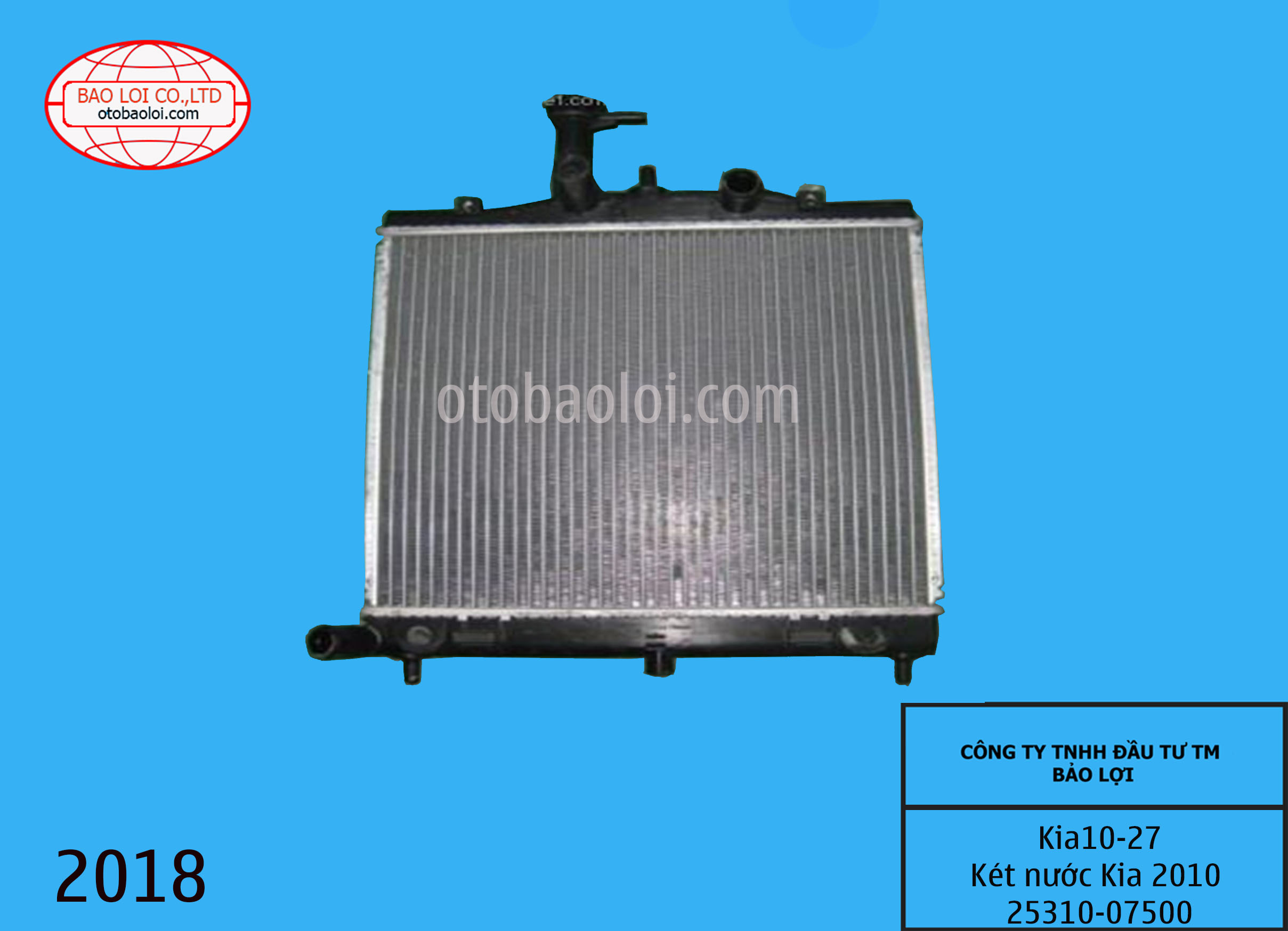 Két nước Kia 2010 25310-07500